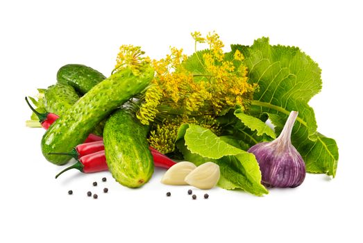 cucumbers, garlic, pepper, horseradish leaves and fragrant blossoms dill marinade on a white background