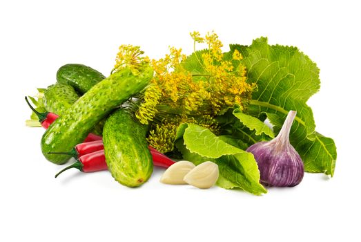 cucumbers, garlic, pepper, horseradish leaves and fragrant blossoms dill marinade on a white background