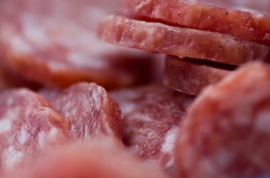 Sausage of salami cutted closeup