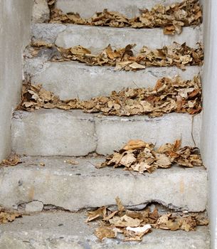 Close up on autumn leaves on stairs