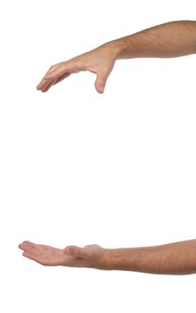 Two male hands with space to put something. Isolated