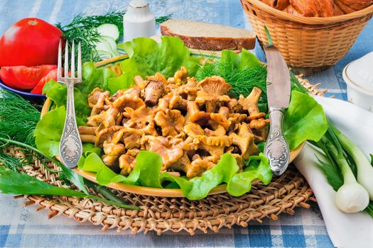 Dish with lettuce leaves on which appetizing fried chanterelles are located, are photographed by a close up