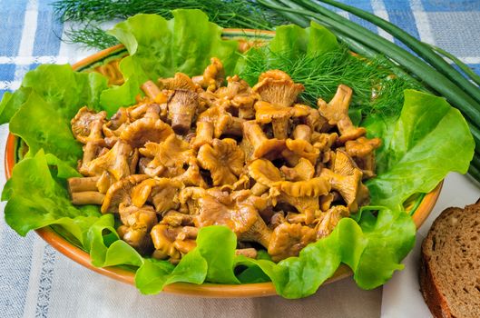 Dish with lettuce leaves on which appetizing fried chanterelles are located, are photographed by a close up