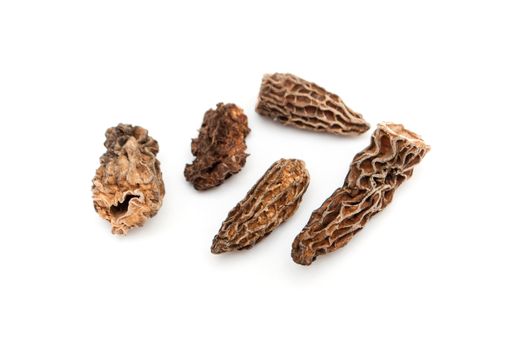 group of morels dried on the white background