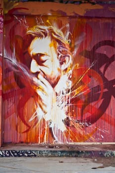 Paris - France - November 2013 - urban art - Serge Gainsbourg face