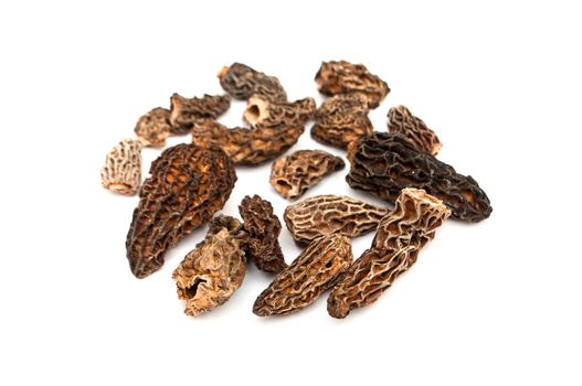 group of morels dried on the white background