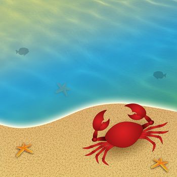 Crab on the beach