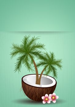 Coconut with palm