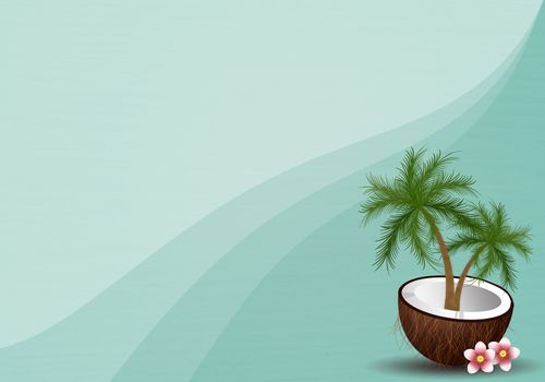 illustration of Coconut for summertime