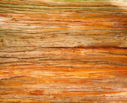 Weathered wood grain textured background