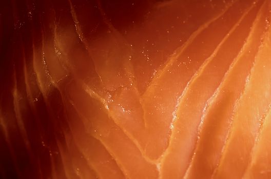 Lox 024. Close up of salmon lox.