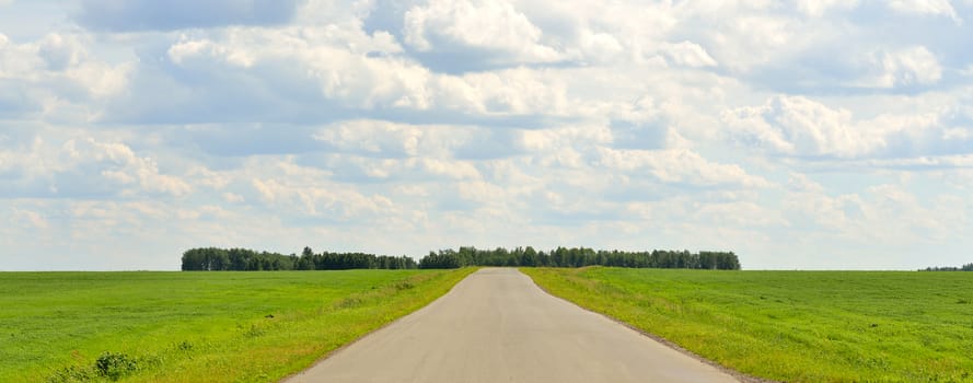 Summer landscape with green grass, road and clouds