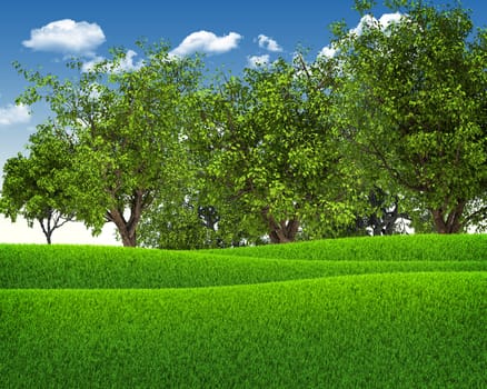 Green field and forest on a background of the blue sky