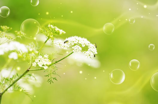 Green Natural Mood With Abstract Bubbles and Copyspace