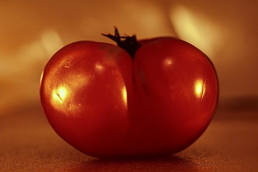 Red Tomato 068. A single big ripe red tomato.