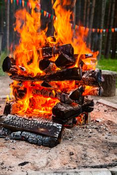 Closeup shot of burning camping bonfire