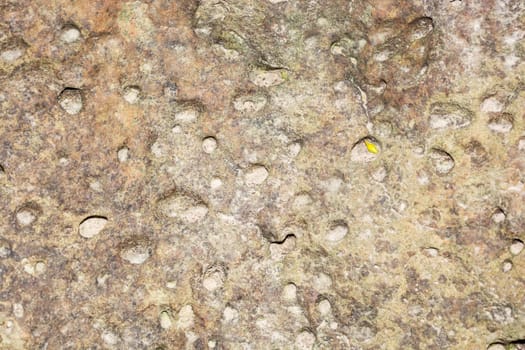 the beautiful stone texture in the park ideal for background and wallpaper purposes