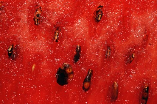 Watermelon pulp with seeds closeup                               