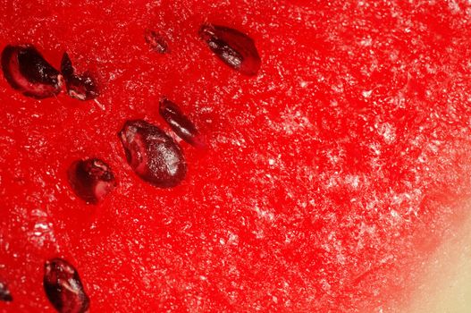 Watermelon pulp with seeds closeup