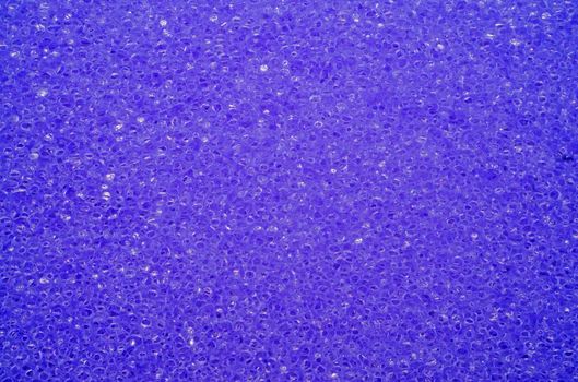 Porous texture of sponge purple                               