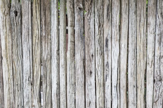 Old wood planks wall texture background