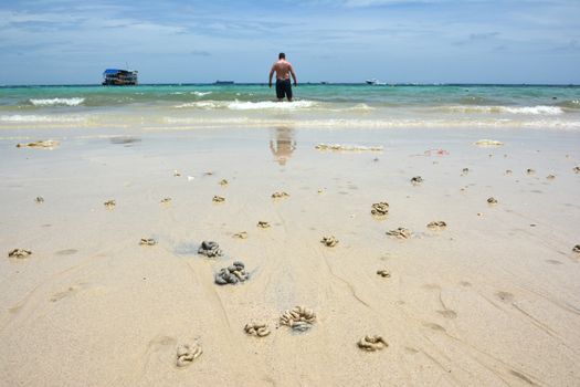 crabs Health marks in Koh Larn Beach, Pattaya, Thailand