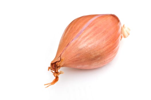 Shallot isolated on white background