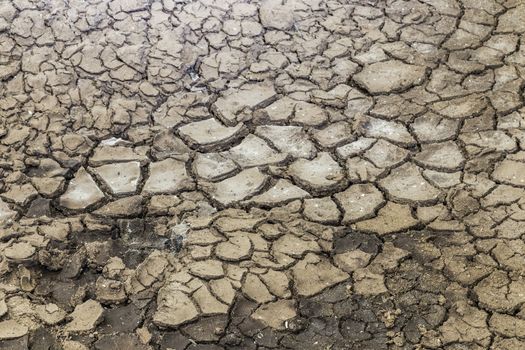 Cracked soil background and texture