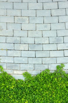 Brick wall and green leaf background