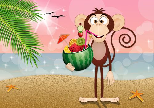 Monkey with watermelon on the beach