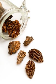 group of morels dried on glass jar on the white background