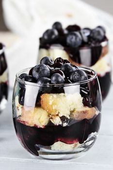 Trifle with blueberry sauce, fresh ripe berries and vanilla cake with extreme shallow depth of field.