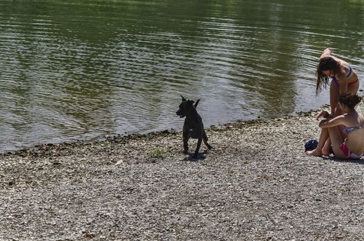 Girsl playiang on the river with their dog