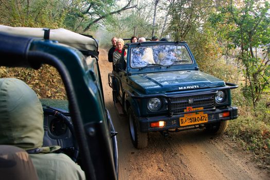 Tourists going on a tiger safari, Ranthambore National Park, Rajasthan, India
