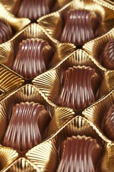 Delicious chocolate pralines in the golden box