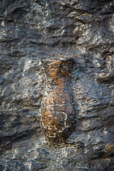 3000 bok ,Sam pan bok, Ubon-ratchathani, Grand Canyon of Thailand.