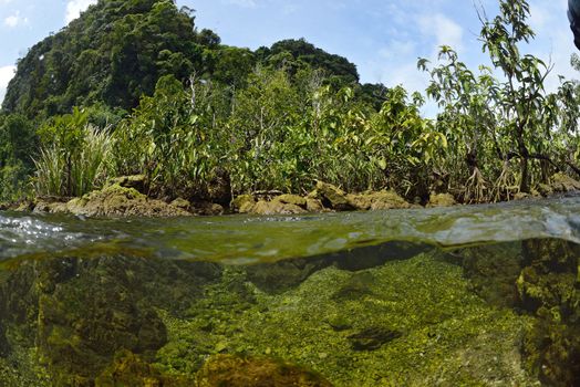 Crystal stream, Krabi, Thailand