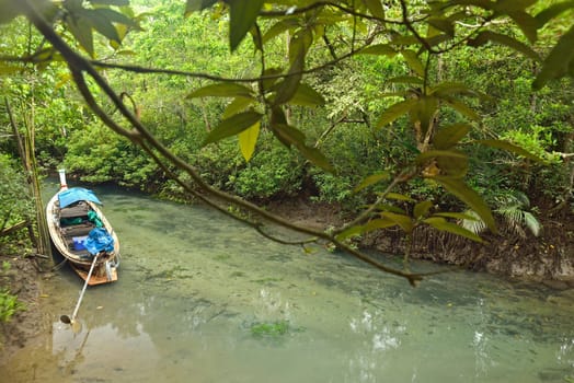 longtail boat in mangroves forest, Krabi, Thailand.