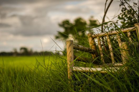 Bamboo wooden chairs on grass field in countryside Thailand