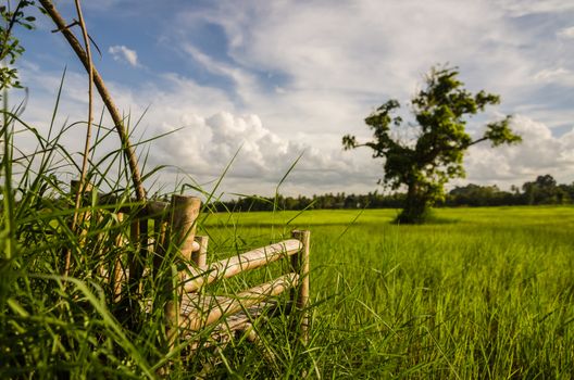 Bamboo wooden chairs on grass field in countryside Thailand