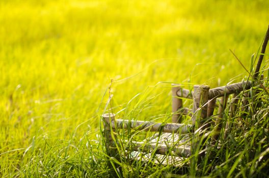 Bamboo wooden chairs on grass field in countryside Thailand