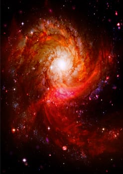 Star field in space a nebulae and a gas congestion. "Elements of this image furnished by NASA".