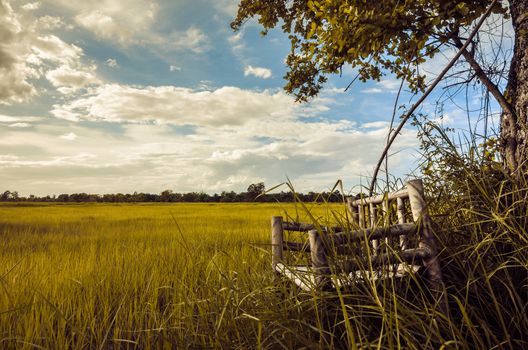 Bamboo wooden chairs on grass field in countryside Thailand vintage