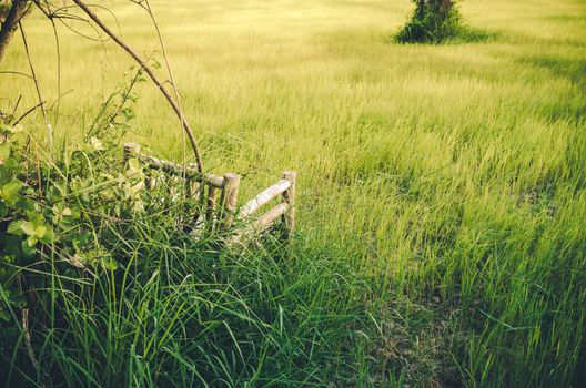 Bamboo wooden chairs on grass field in countryside Thailand vintage