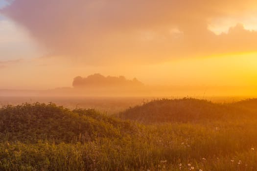 Foggy meadow at sunset with forest at background