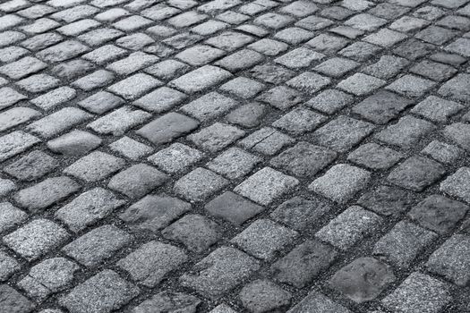 Old wet stone paved avenue street road, low angle after rain