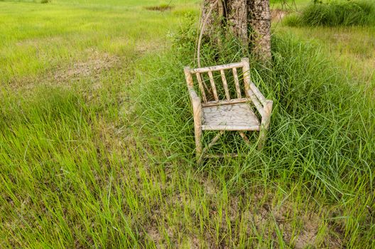 Bamboo wooden chairs on grass field in countryside Thailand