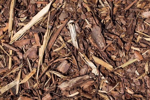 Wooden mulch ground's fragment as an abstract background composition