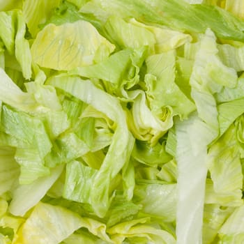 The texture of the leaves of lettuce salad