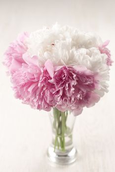 Vase of beautiful peony flowers on wooden background